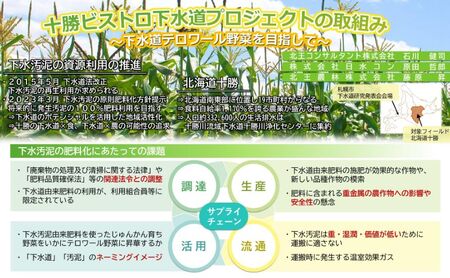2026年発送先行予約 北海道 十勝 幕別産 とうもろこし 恵味ゴールド 10本「じゅんかん育ち」北王農林［十勝BISTRO下水道プロジェクト］【 とうもろこし とうきび コーン 野菜 フルーツ 甘い 】