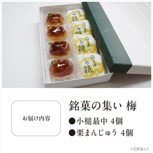 銘菓の集い 梅（2種計8個）
