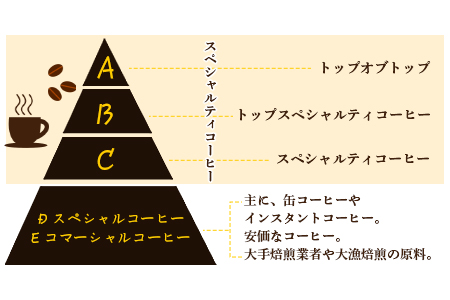 ＜希少豆とブレンドコーヒー＞翌月末迄に順次出荷【c220_el_x3】