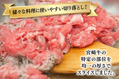 【宮崎牛】 切り落とし 500g×2 計1kg [ローカルブランディング 宮崎県 美郷町 31bb0018]
