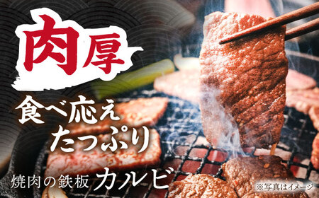 飛騨牛 カルビ 500g [TDC001] 牛肉 焼肉用 