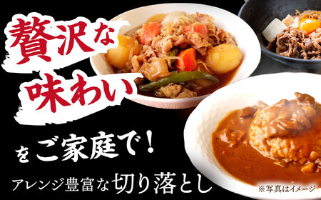  【3回定期便】【飛騨牛】切り落とし 総計1.5kg 〈1回あたり〉500g (250g×2) [TDC010] しゃぶしゃぶ