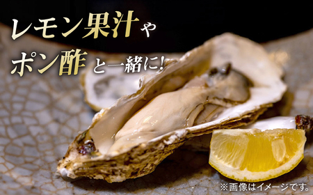 天然 岩ガキ 3kg  [WAD001] 岩がき 牡蠣 海鮮 魚介 牡蠣 かき カキ
