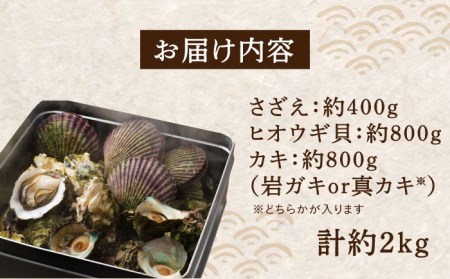 対馬 蒸し貝 缶セット 計約2kg [WAD007] サザエ さざえ ヒオウギ貝 ひおうぎ貝 牡蠣 カキ かき 壺焼き