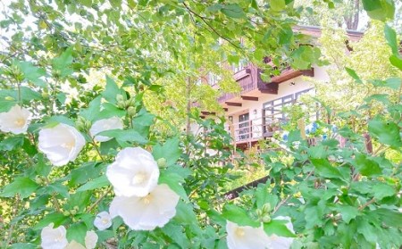 ［北星山］ろばのショートブレッド（チーズ・紅茶）【BY-001】