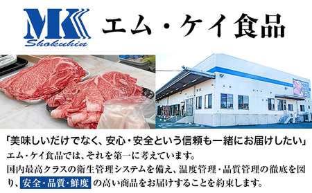 博多和牛 サーロインステーキ 500g（250g×2枚）株式会社エム・ケイ食品《30日以内に出荷予定(土日祝除く)》福岡県 鞍手郡 鞍手町 ステーキ 肉 サーロイン 牛肉 牛
