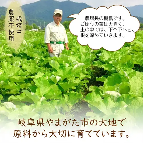 美濃山県元気ファーム　山県市産ごぼう茶120g [No.665]