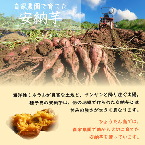 種子島 無添加 安納芋 こだわり スイートポテト 10個入　NFN242【350pt】
