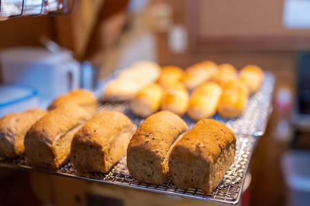 【そらいろのたね】手作りパンセット 詰め合わせ レーズン クロワッサン ジャージーミルク 木の実 チーズ クリーム セット 熊本 阿蘇 小国町 わいた 山川 人気 ハンドメイド 創業20年以上 老舗 ツリーハウス 冷凍 おすすめパンセット