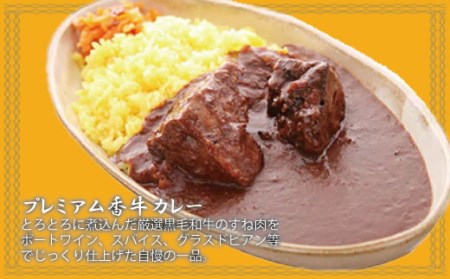 カレー専門店「香牛かれー香壺」の詰合せAセット4回定期便 L12-SKKOT