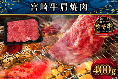 【定期便 6回】 日本ハム 宴の彩りハムと 宮崎牛が交互に届く [日本ハムマーケティング 宮崎県 日向市 452060959]