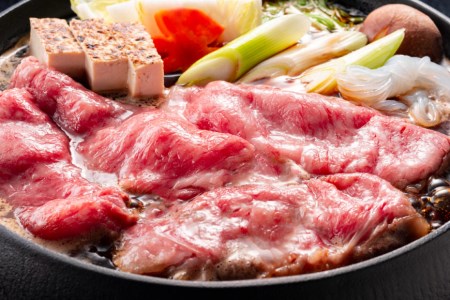 【3回 定期便 】 博多和牛 A4以上 満喫セット 総計1.75kg / MEAT PLUS / 福岡県 筑紫野市 [21760276]