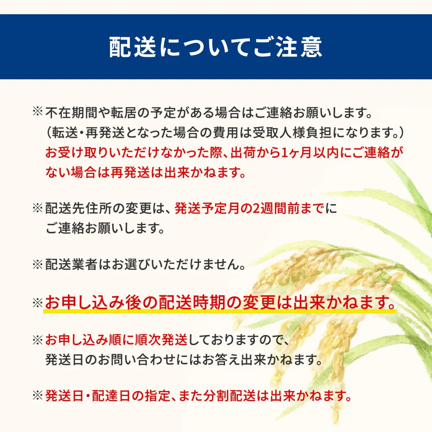 ブレンド米 10kg とねさかい 令和8年6月内発送  茨城県産 K2632