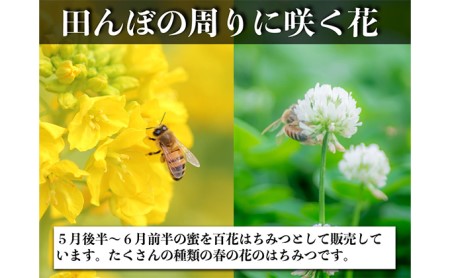 はちみつ レンゲ 1本 600g 百花 1本 600g 蜂蜜