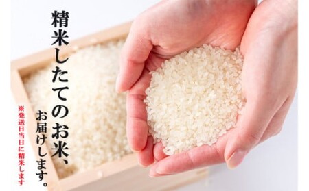 R7年度産 米 5kg 発送当日に精米します 小郡産 特A 特別栽培米 ひのひかり　白米 コメ 福岡県 お米 精米 ご飯 ごはん ヒノヒカリ国産 国産米 グルメ 食品