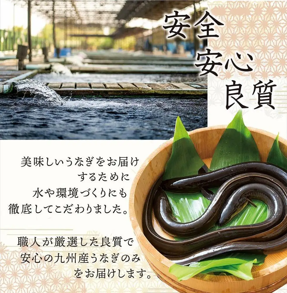 国産 うなぎ蒲焼 6尾 約1050g