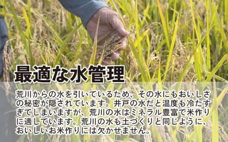 米 令和7年産 彩のかがやき・彩のきずな 各5kg 計10kg | 白米 米 桜国屋