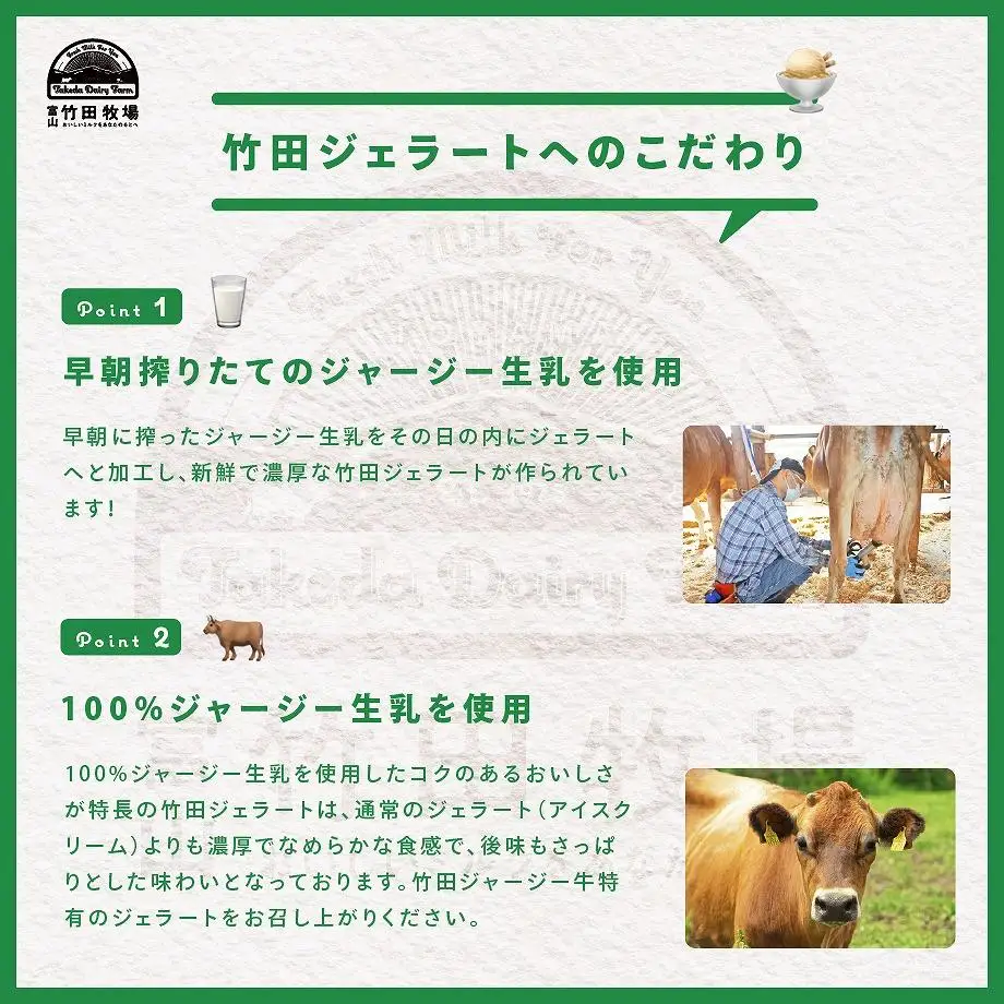 ジャージー牛乳の濃厚ジェラート！竹田ジェラート |全12種類|カップ