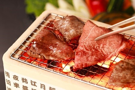 奥出雲和牛赤身焼肉用300g 【しまね和牛 黒毛和牛 ギフト 贈答用 冷蔵 チルド 日時指定Ａ-9】