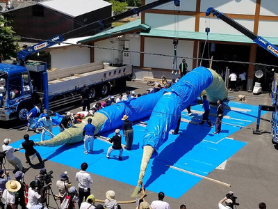 しめ縄（大黒じめ）　Ｄ-61