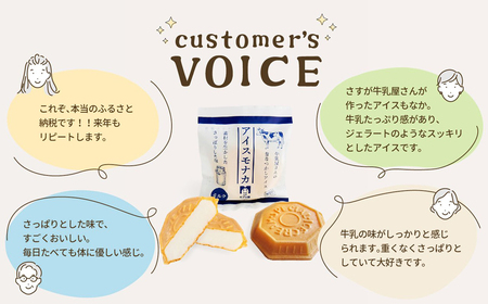 スイーツセット アイスもなか 6個 ソフトクリーム 2個 スイーツセット