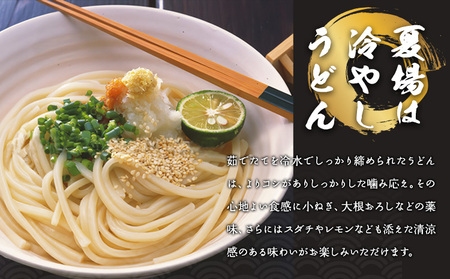 瀬戸の天日干しうどん 乾麺 うどん