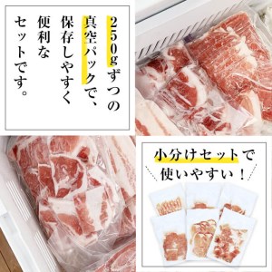 鹿児島黒豚1頭買い!いろんな部位食べ比べ 計1.5kg a5-236