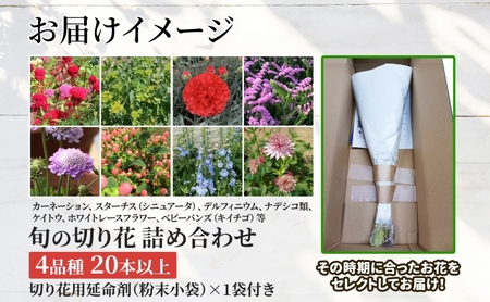 ＜選べる配送月＞ 北海道 花 詰め合わせ 4品種 20本以上 切り花 切花 花束 ブーケ 季節 旬 生花 フラワー アレンジメント 記念日 産地直送  10月お届け