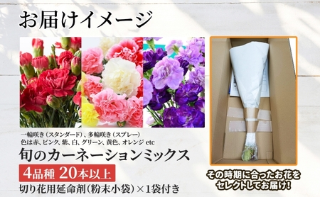 ＜選べる配送月＞ 北海道 カーネーション ミックス 4品種 20本以上 花 花束 切花 ブーケ 旬 季節 詰め合わせ 生花 フラワー アレンジメント 産地直送  6月お届け
