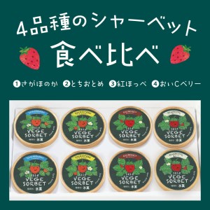 1215VEGESORBETﾍﾞｼﾞｿﾙﾍﾞ4種食べ比べｱｲｽｾｯﾄ N085-YZA733