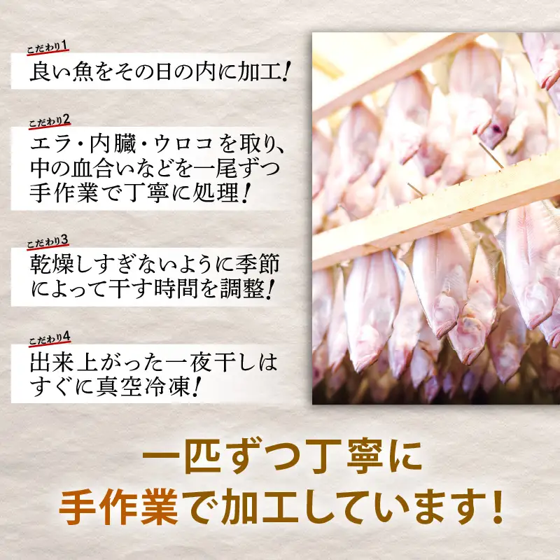 越前産 かれい「一夜干しカレイ3種セット（合計6～9尾）」【かれい カレイ 鰈】 [e15-a001]