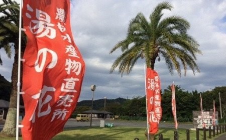 【先行予約＿2026年出荷分】初夏の香り 甘夏10kg箱　【 甘夏 】