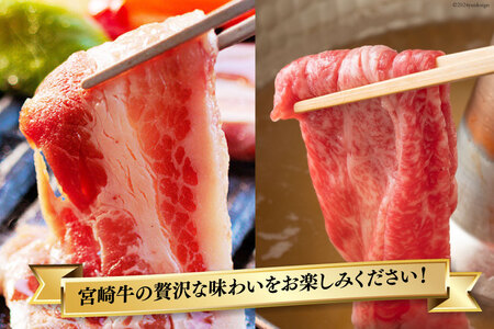 【宮崎牛】 カルビ焼肉・しゃぶしゃぶ セット 計800g [ローカルブランディング 宮崎県 美郷町 31bb0021]
