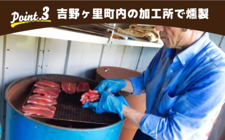 【12回定期便】無添加・天然いのししジャーキー30g×4袋 吉野ヶ里町/まちづくり会株式会社[FBK052]