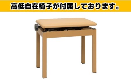 【Roland】電子ピアノDP603/ナチュラルビーチ調【設置作業付き】【配送不可：北海道/沖縄/離島】 楽器 習い事 趣味 大人 子供 演奏 