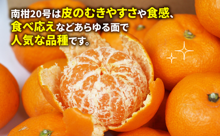 南柑20号 みかん 9kg 家庭用 玉津柑橘倶楽部 温州みかん 【 みかん 愛媛 】 B010-072002