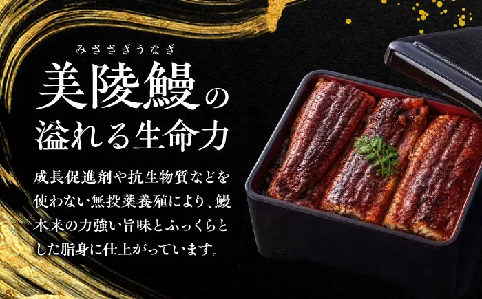 鰻 鰻の蒲焼き2尾セット BLAL001