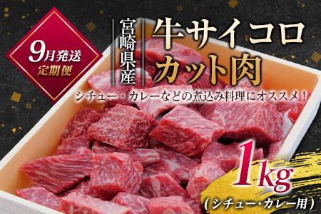 ［2026年7月開始］こゆ牛・豚・鶏バラエティ3ヵ月定期便 ファミリーパック【E141-03】