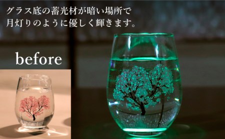 温度で変化する器 × 蓄光『月光 冷感 桜』【丸モ高木陶器】 [TBA151]
