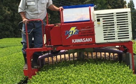 紅茶 うれしの紅茶生産者KJセット NAP003 