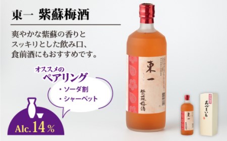 梅酒 東一 梅酒飲み比べ3種 NBQ007 