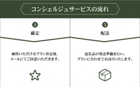 コンシェルジュ100万円プラン NZY002 