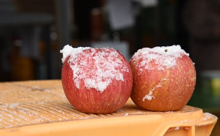 りんご 訳あり サンふじ 20kg (10kg×2箱) 山形県産 《先行予約 2026年11月中旬から発送開始》 リンゴ 林檎 デザート フルーツ 果物 くだもの 果実 食品 山形県 FSY-1395