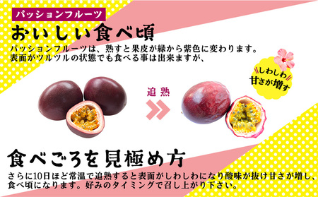 【2026年発送】産地認定！！恩納村産パッションフルーツ(約2kg) 