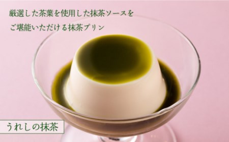 12回【定期便】 大村屋牛乳プリン6個入りアソートセットNAX007 