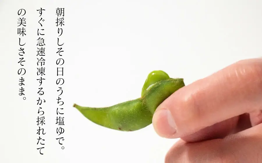 鶴岡トップブランドの共演！琴平荘の冷凍生麺＆冷凍だだちゃ豆