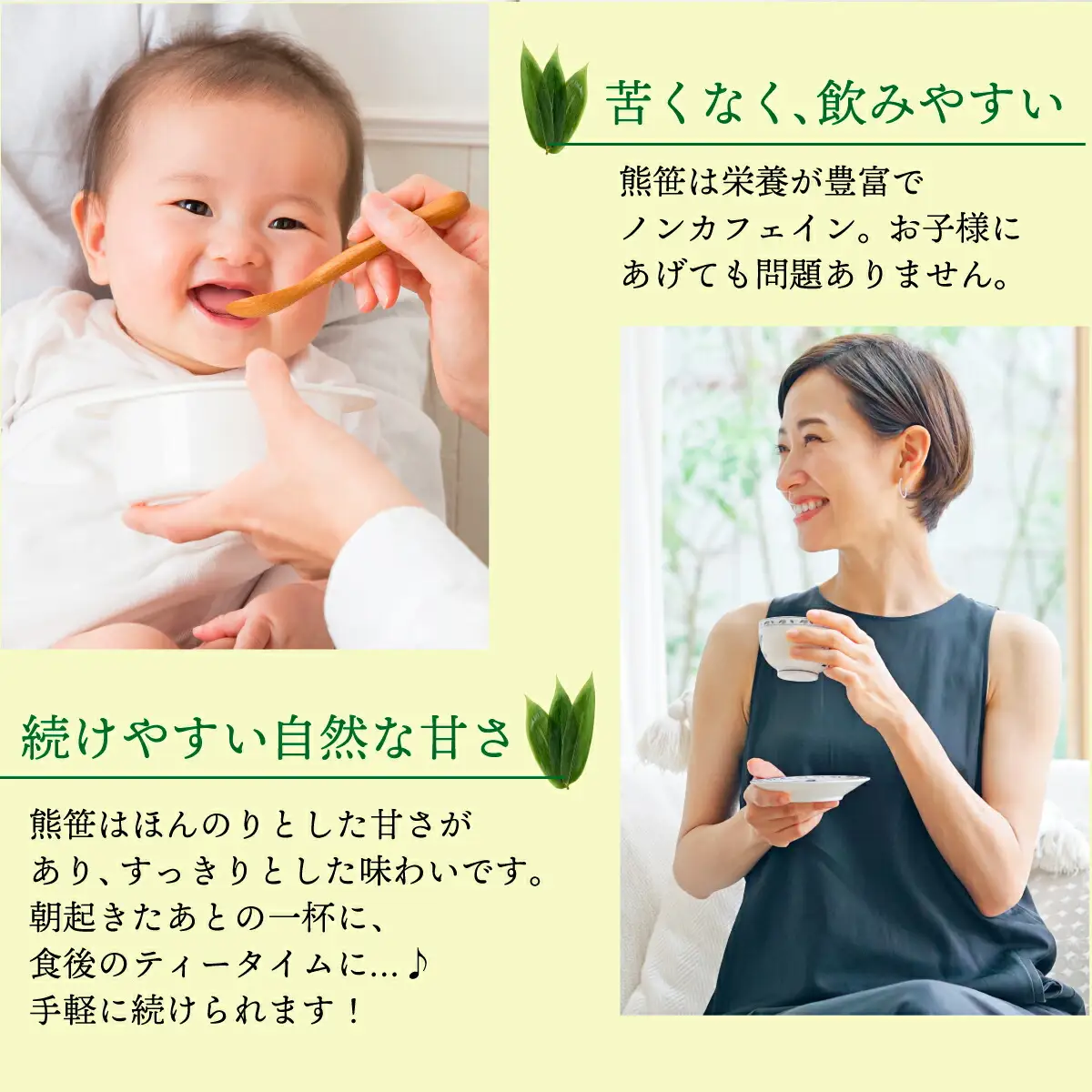 えぞ熊笹茶　ティーパック　2g×16袋入り　