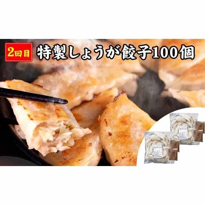 【定期便5ヶ月コース】《神戸の人気餃子店》ギョーザ専門店イチロー 人気商品5種食べ比べセット