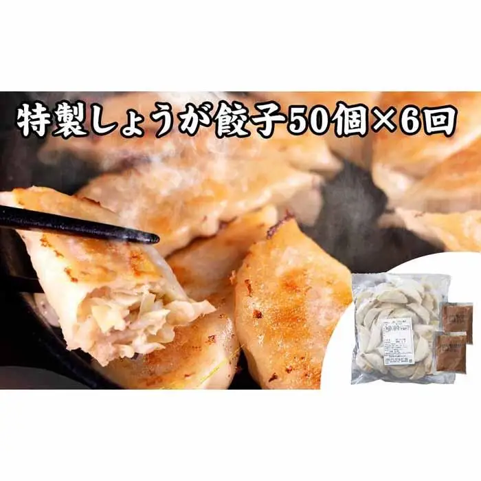 【定期便6ヶ月コース】神戸名物 味噌だれ餃子2種／計100個（50個×2パック） ×6回