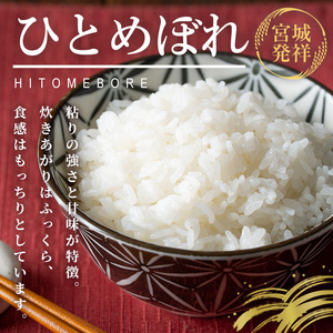 ≪令和7年産≫ 登米市産 ひとめぼれ 10kg×1袋 冷蔵米 お米 おこめ 米 コメ 白米 ご飯 ごはん おにぎり お弁当 佐沼交通株式会社【楽らく館】tm472